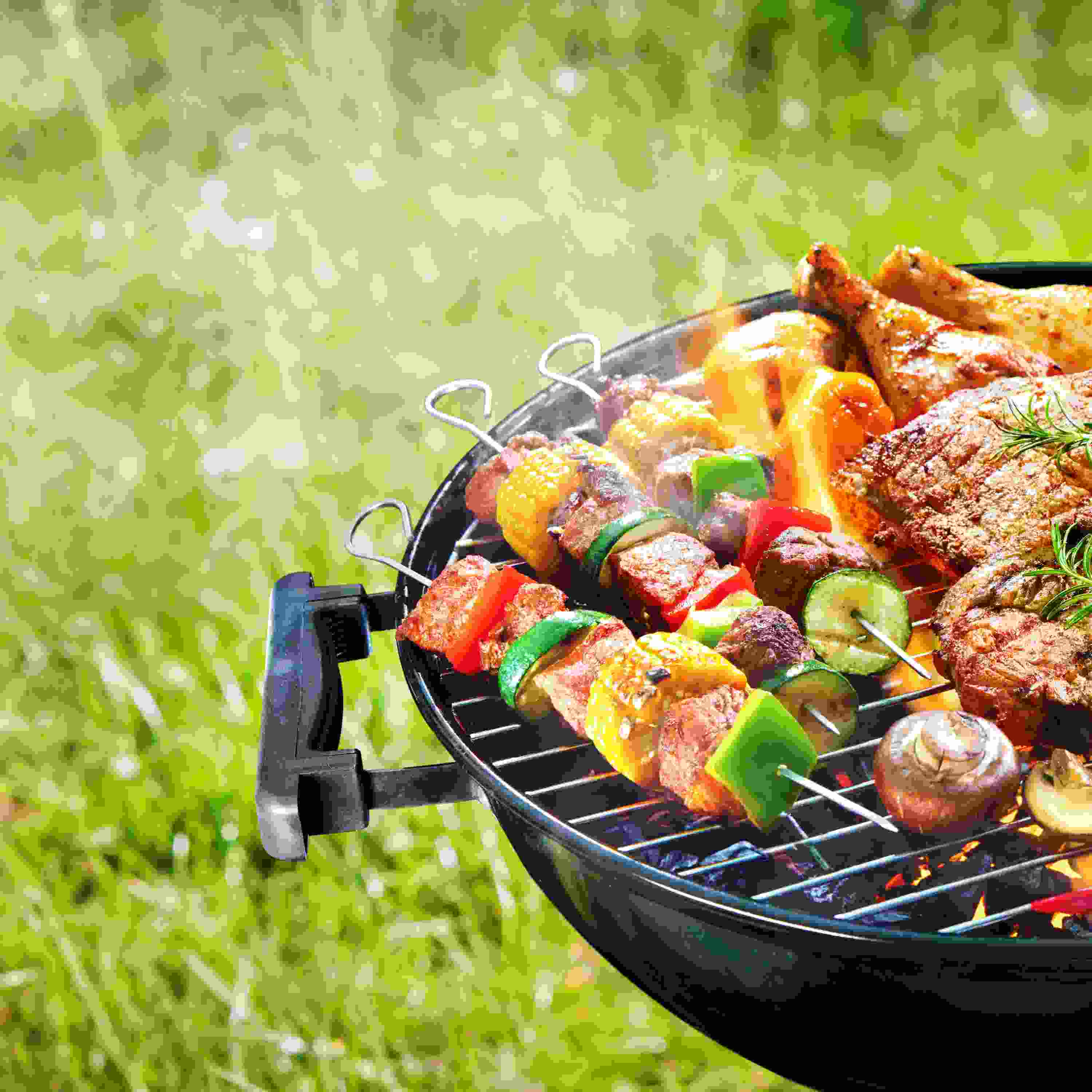 Assorted delicious grilled meat with vegetables on barbecue gril